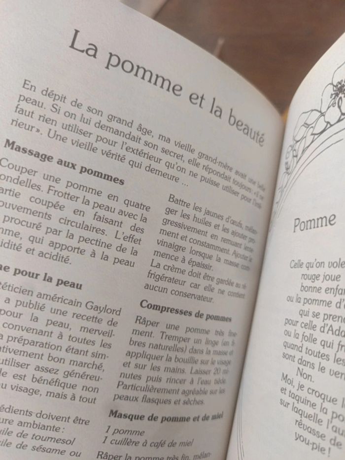 Livre de recettes La Pomme - photo numéro 7