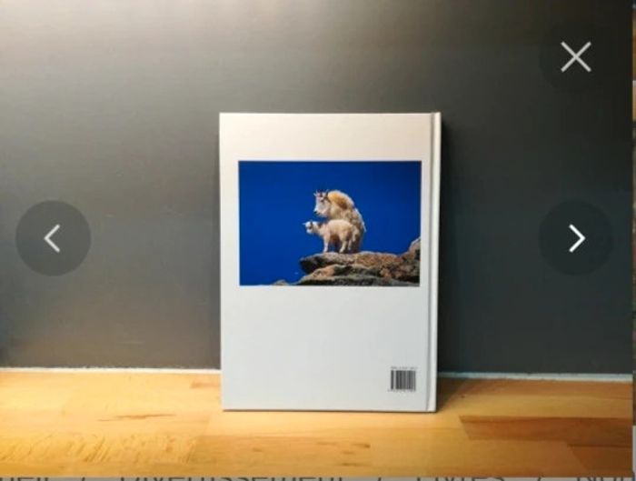 Livre les ruminants sauvages - photo numéro 2