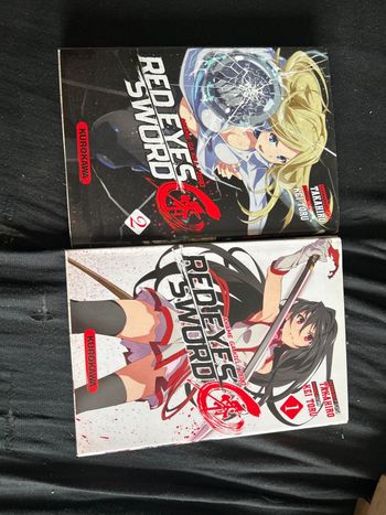 Red eyes sword 