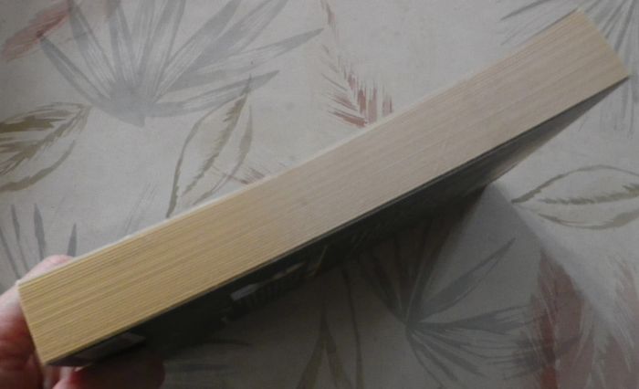 Kilan T1 Le fils de l'Olympe de Yves Trottier Ed. Kennes - photo numéro 4