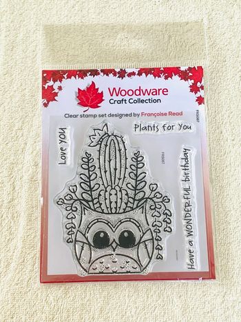 Tampon clear en silicone hibou et phrases Woodware