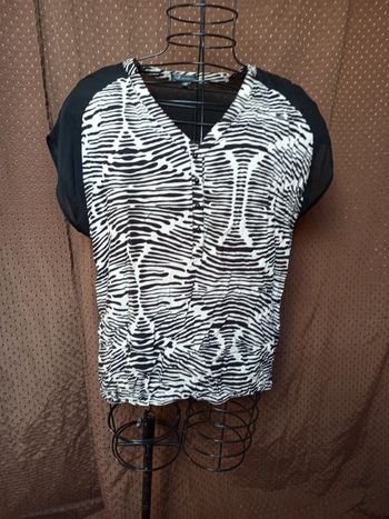 T-shirt zébrée taille xxl+