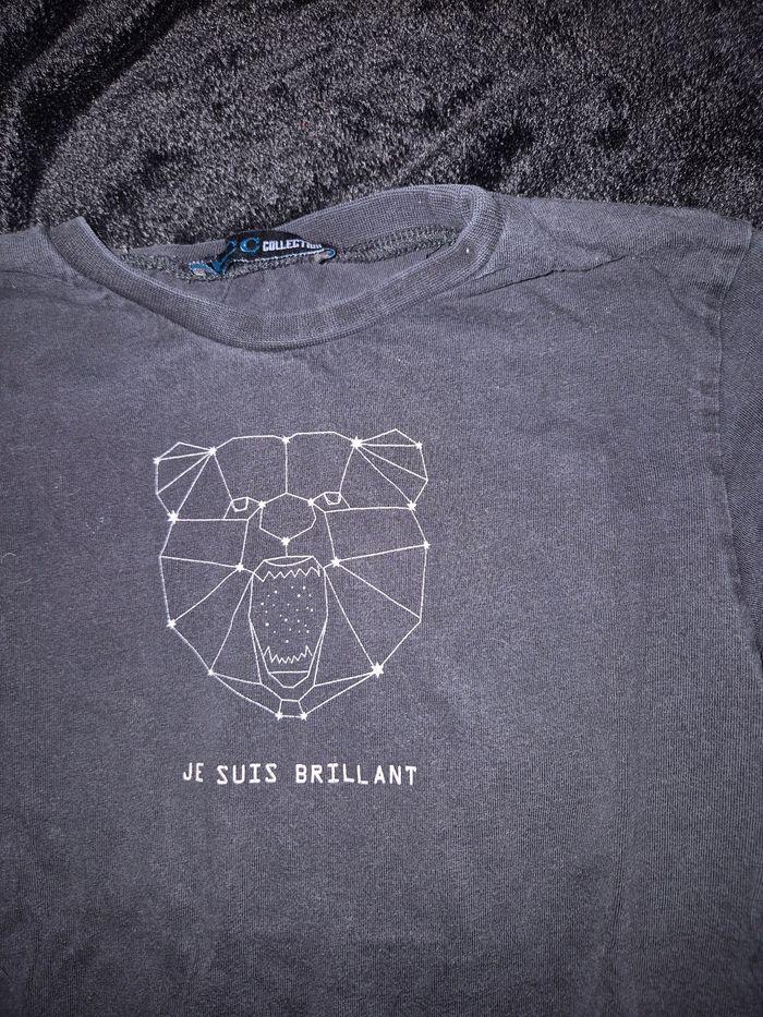 Haut ours - photo numéro 2