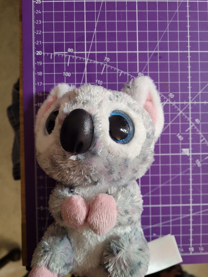 Koala - photo numéro 5