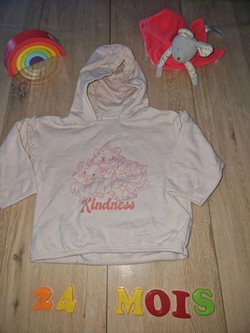 Pull fille 24 mois Disney