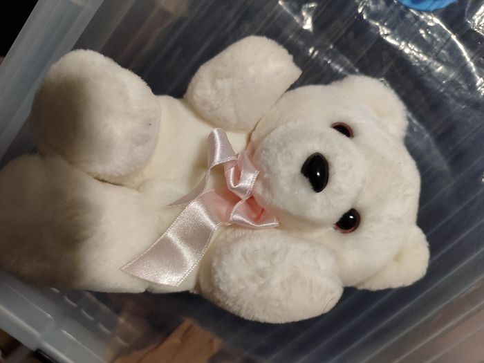 PELUCHES - photo numéro 5