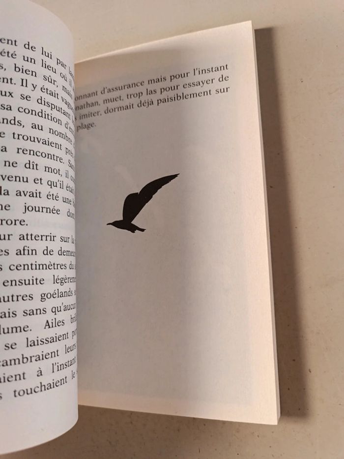 Jonathan Livingston le goéland de Richard Bach - photo numéro 9