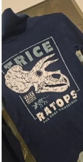 Sous pull bleu dinosaure