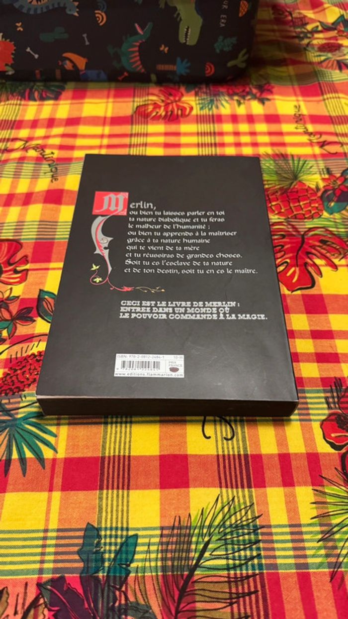 Graal Noir - Le Fils du Diable - Tome 1 de Christian de Montella - photo numéro 4