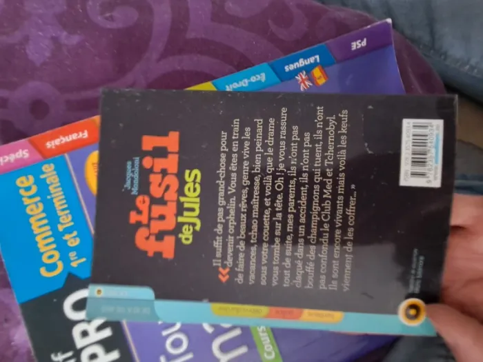 Livre enfants le fusil de Jules - photo numéro 2