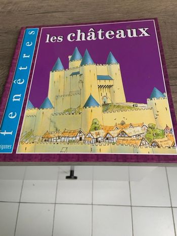 Livre Les châteaux pour enfants à partir de 6 ans collection fenêtres