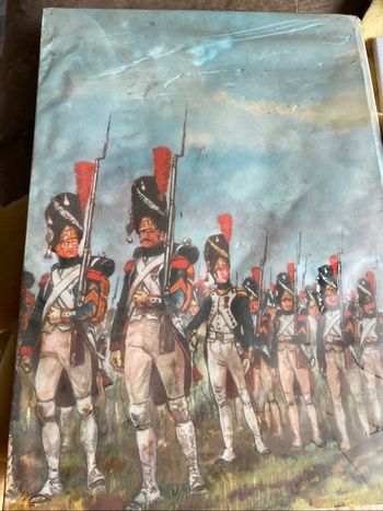 Livre Napoléon