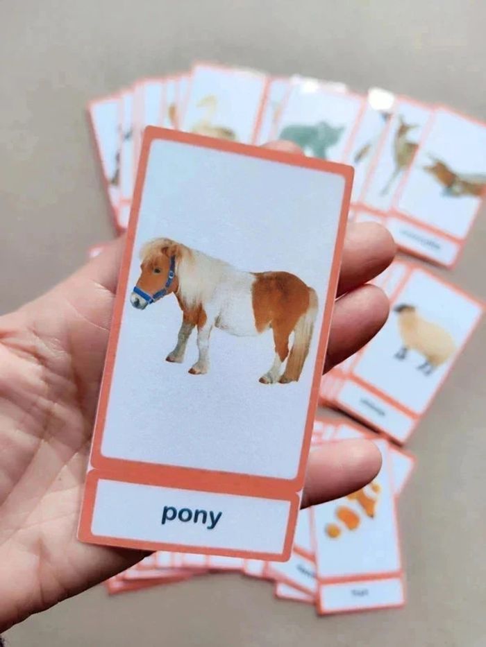 Lot de 56 cartes de nomenclature sur les animaux en Anglais Montessori - photo numéro 5