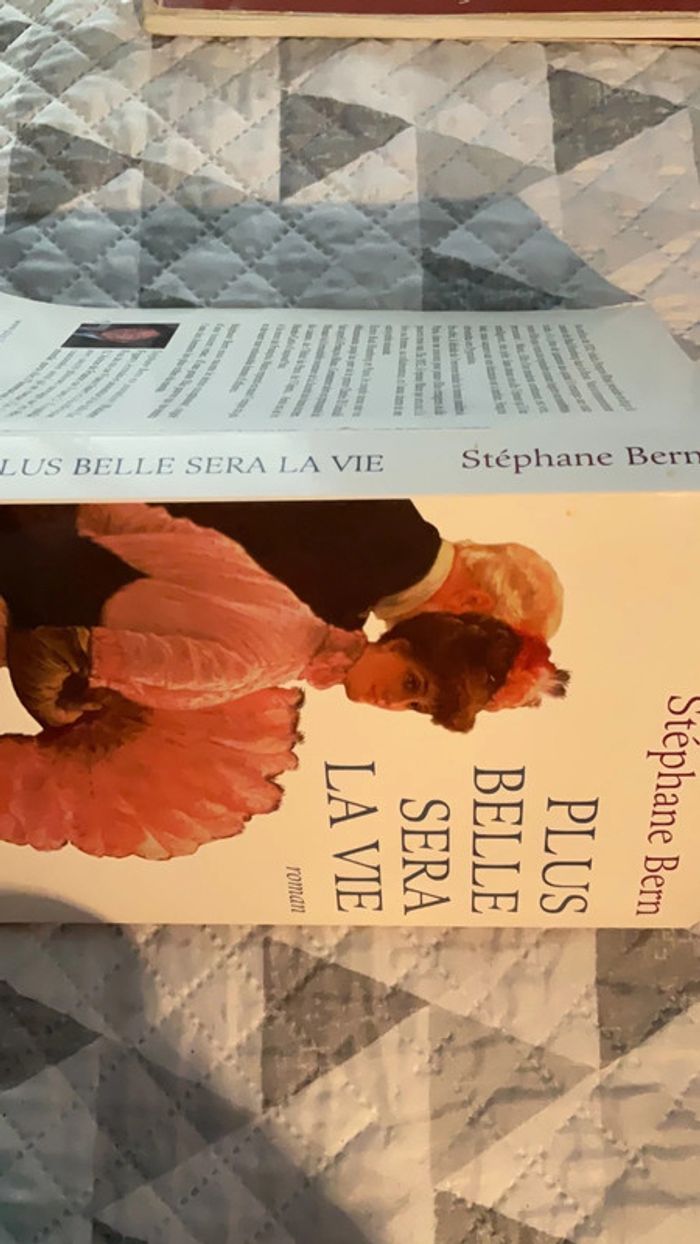 #plus belle sera la vie Stéphane Bern - photo numéro 5