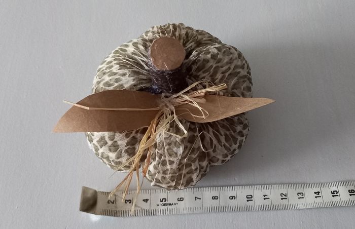 Citrouilles - photo numéro 4