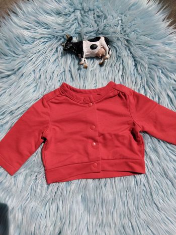 💡 Jolie veste rouge fille Gémo 3 mois
