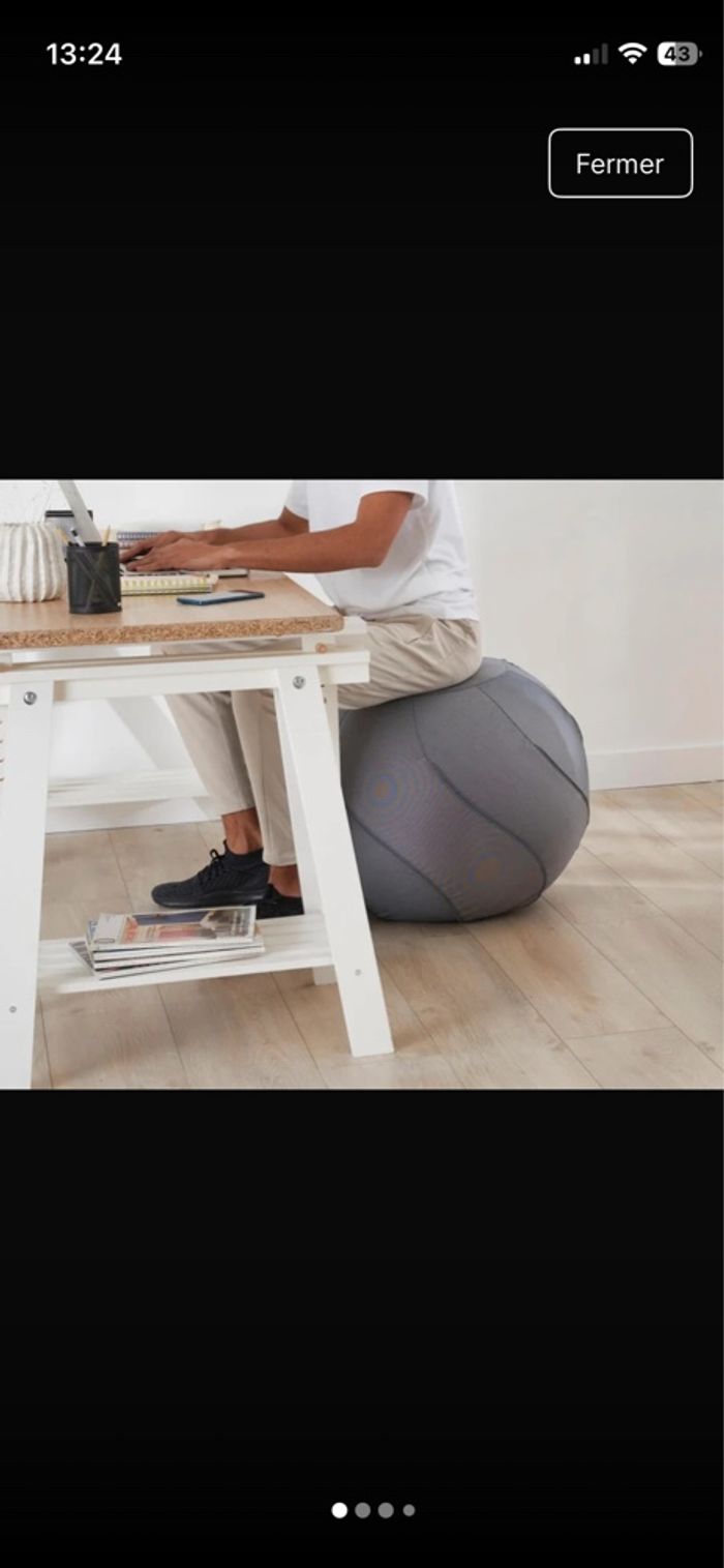 Ballon de gym avec housse