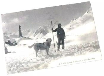 Carte postale ancienne Le Col du Grand Saint-Bernard (Suisse)  Les Sauveteurs J.J 8478
