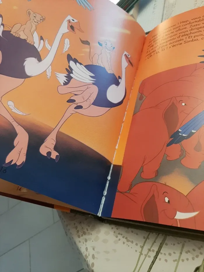 Gros livre disney le roi lion - photo numéro 10