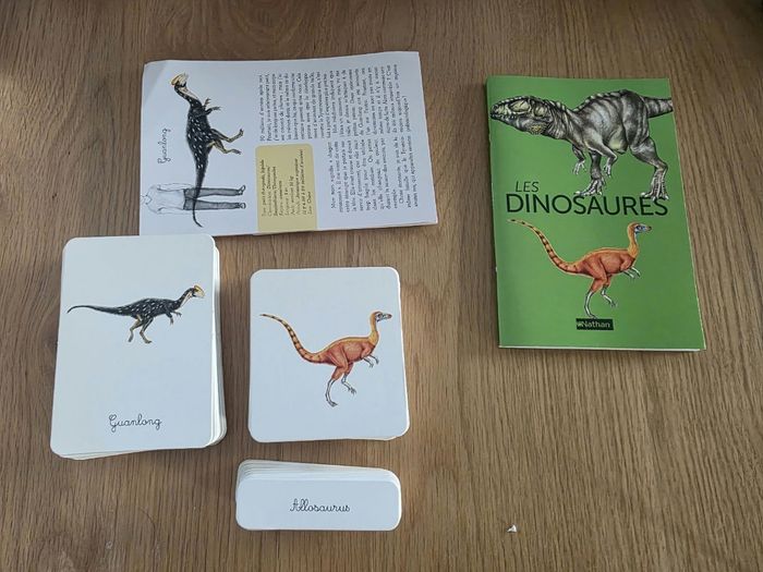 Coffret Montessori Dinosaure Nathan (pas complet) - photo numéro 3
