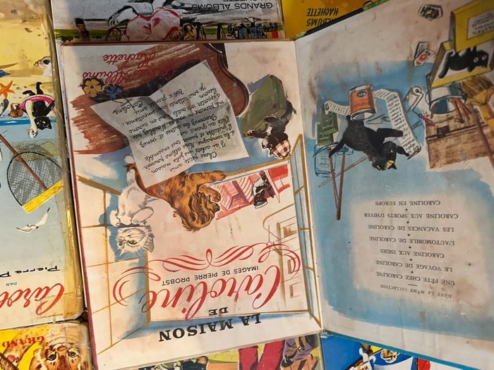 État satisfaisant - Lot de 10 Grands albums Hachette livres bd Caroline Pierre Probst - photo numéro 7