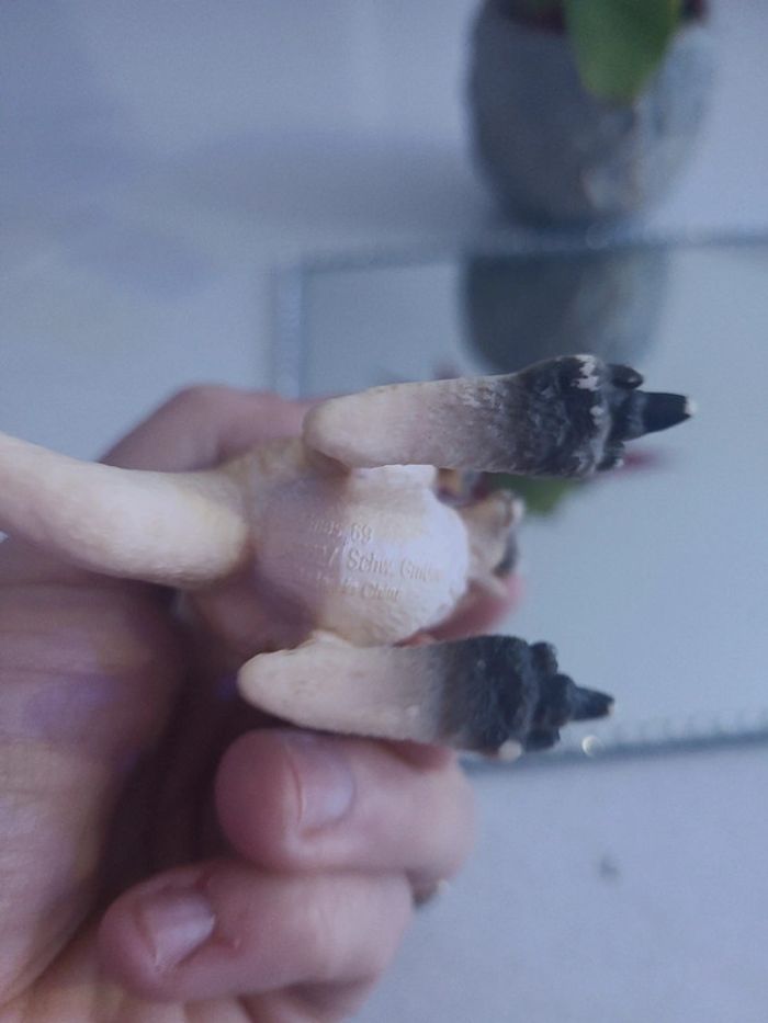 Kangourou schleich - photo numéro 3