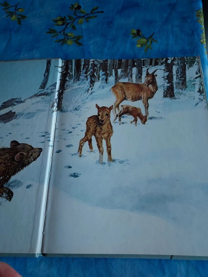 Bande dessinée pour enfant Les animaux des bois - photo numéro 2