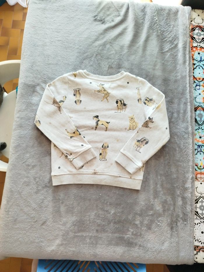 Sweat 4 ans - photo numéro 3