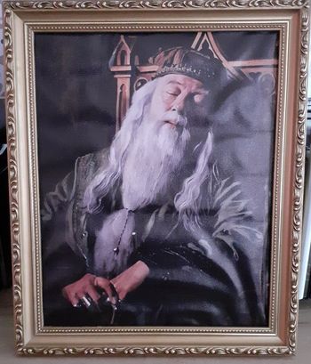 Cadre Harry potter Dumbledore dans cadre ancien