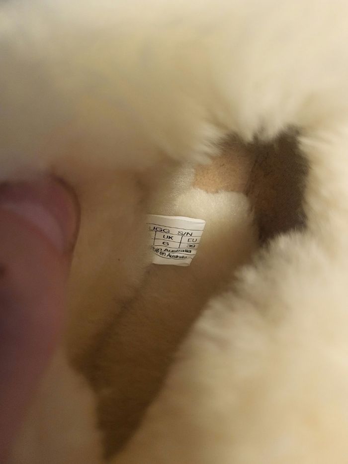 UGG  Tazzelle - photo numéro 5