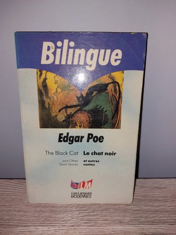 Livre de poche le chat noir