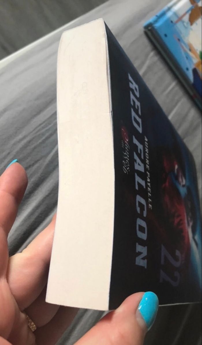 Red falcon - photo numéro 6