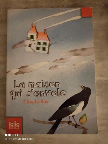 La maison qui s'envole