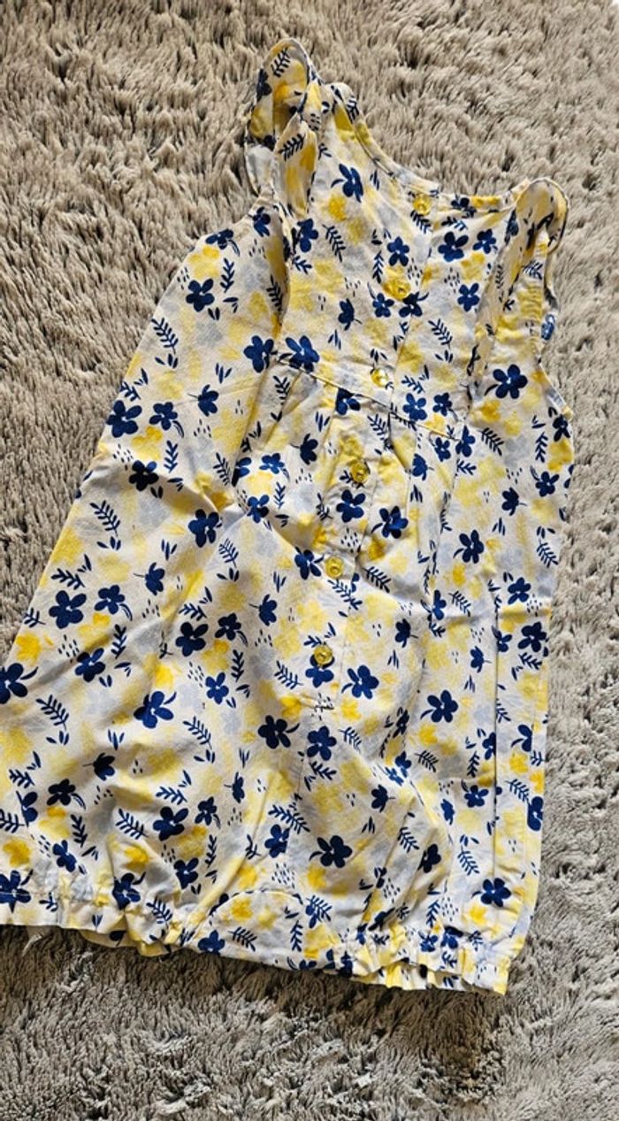 barboteuse sergent major - photo numéro 2