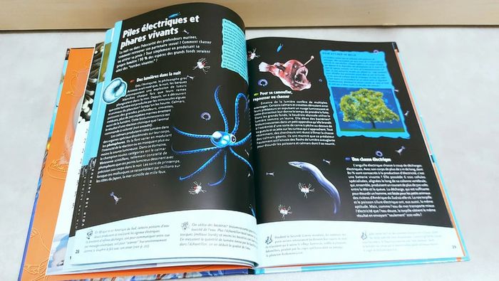 📚 Livre avec DVD pédagogique : Les pouvoirs secrets des animaux - photo numéro 4