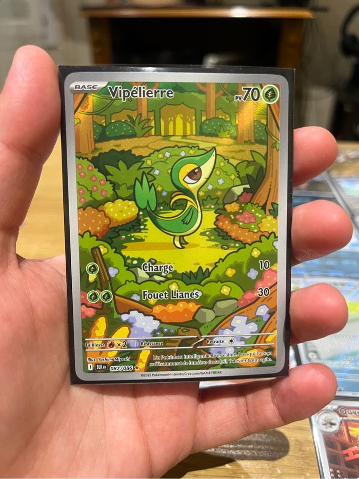 Vipelierre pokeball foudre noire 087/086