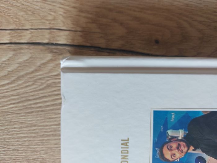 Livre partinage artistique "En or" Gabriella Papadakis Guillaume Cizeron - photo numéro 4