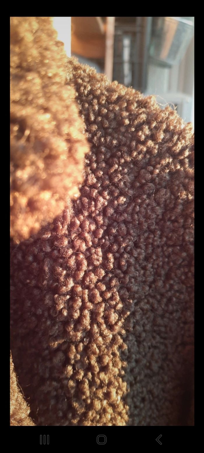 Manteau long à bouclette de chez Zara - photo numéro 3