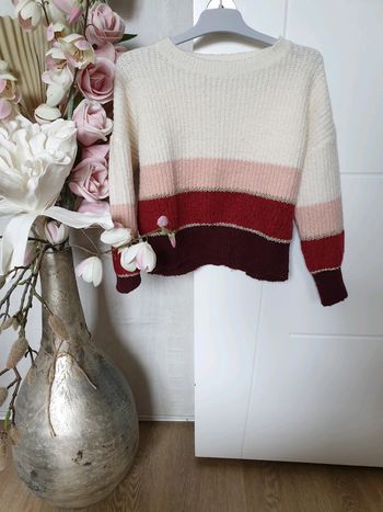 Pull avec détails tricolores