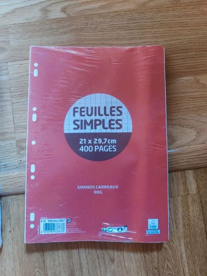 🌺 Lot de 400 feuilles simples grands carreaux seyes