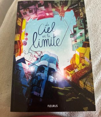Le ciel est la limite
