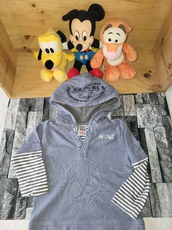 Pull léger a capuche gris-zara baby-9 mois