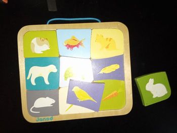 Puzzle en bois enfant, animaux janod 9 morceaux, dès 2 ans,