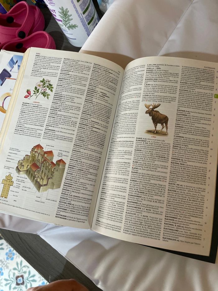 Le petit Larousse illustré - photo numéro 4