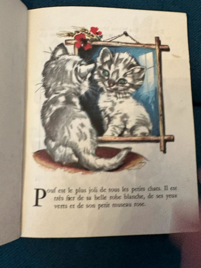 1976 Livre ancien carton Pouf le Chaton bleu Gentil coquelicot Hachette Pierre Probst (Caroline) - photo numéro 4