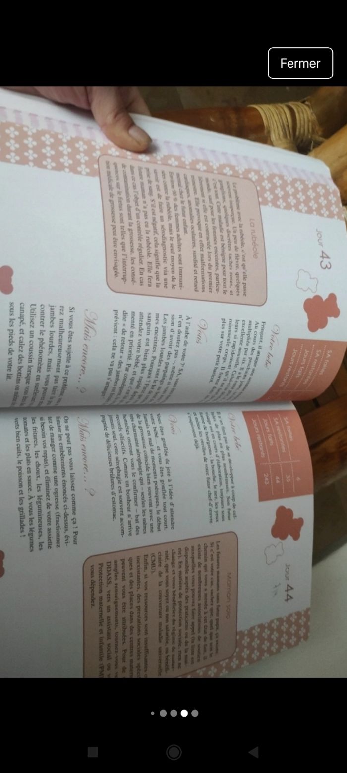 Le calendrier de votre grossesse - photo numéro 2