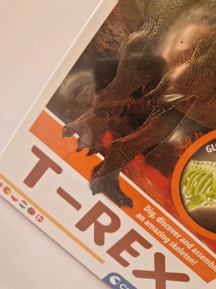 Kit scientifique Archéo Ludic T-Rex phosphorescent - photo numéro 4