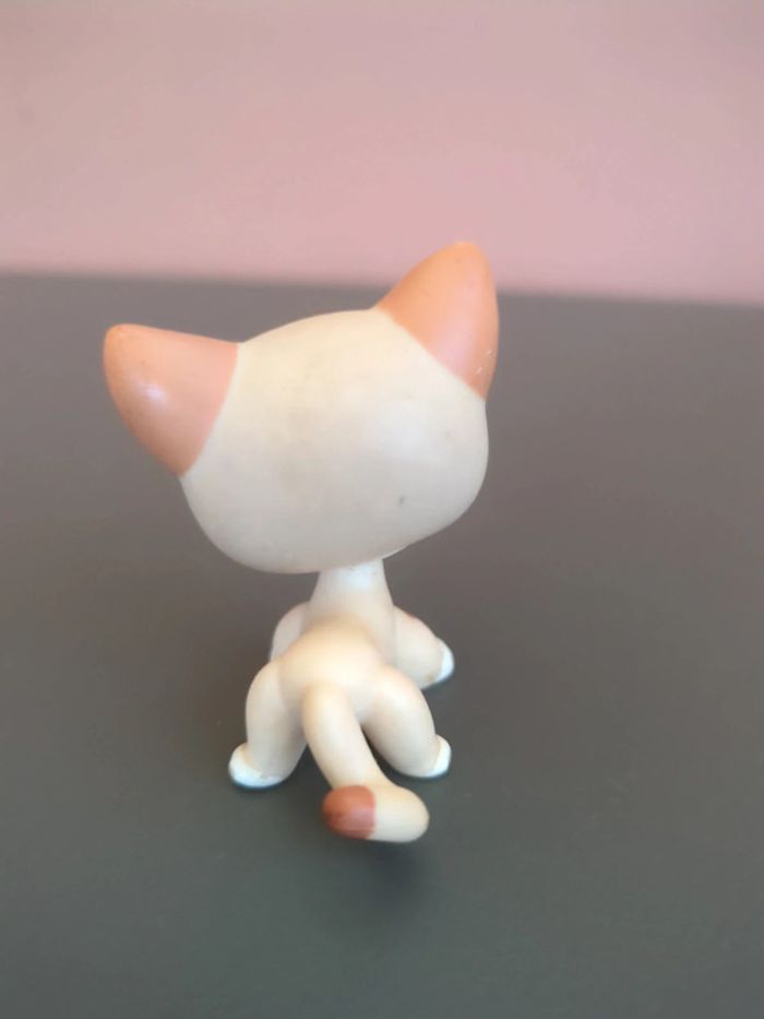 little petshop chat - photo numéro 2