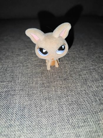 Chien chihuahua velour LPS