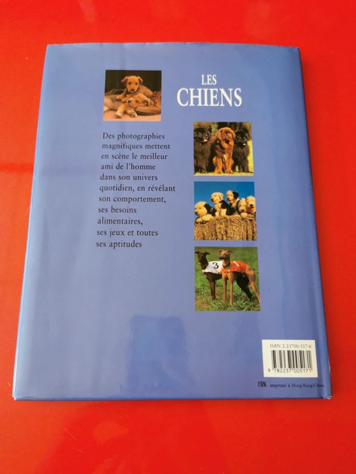 Les chiens - photo numéro 2